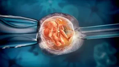 تجربتي مع الحقن المجهري بالتفصيل