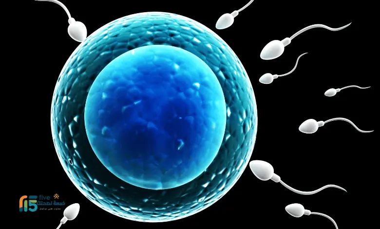 عدد الحيوانات 11 مليون