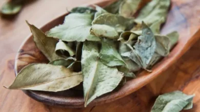 اضرار الحرجل للحامل