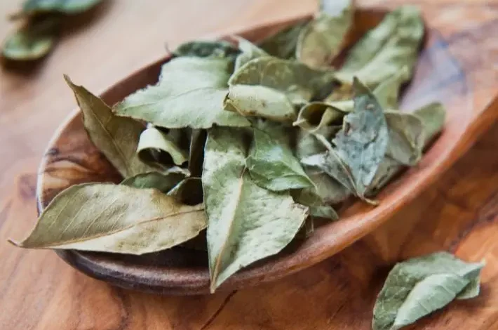 اضرار الحرجل للحامل