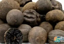 الليمون الاسود