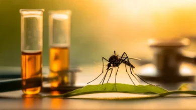 اعراض مرض الملاريا