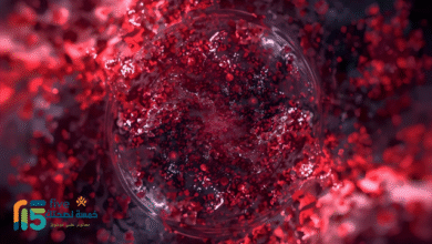 اعراض الفيروس الكبدي