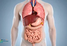 أضرار دواء فلوكس على الكبد