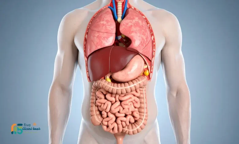 أضرار دواء فلوكس على الكبد