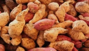 فوائد البطاطا في الشتاء