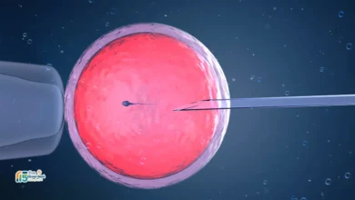 العدد الكافي للتلقيح الصناعي