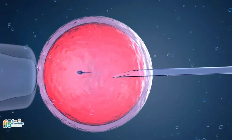 العدد الكافي للتلقيح الصناعي